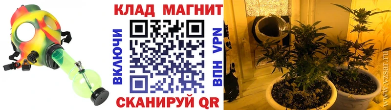 Купить закладку Бошки Шишки  A PVP  Мефедрон  COCAIN  Лакинск