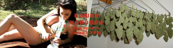 гашик Саяногорск