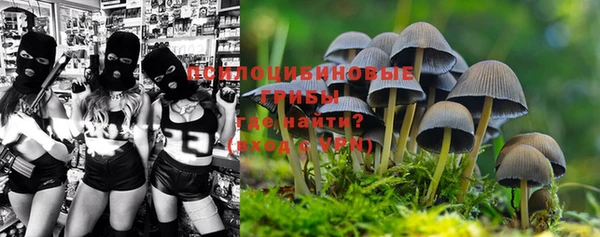 бошки Сатка