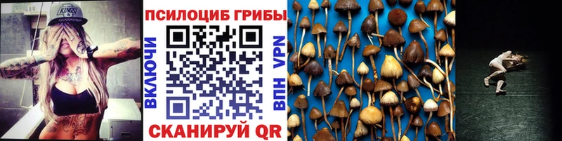 Купить где  Лакинск  Псилоцибиновые грибы Psilocybe 
